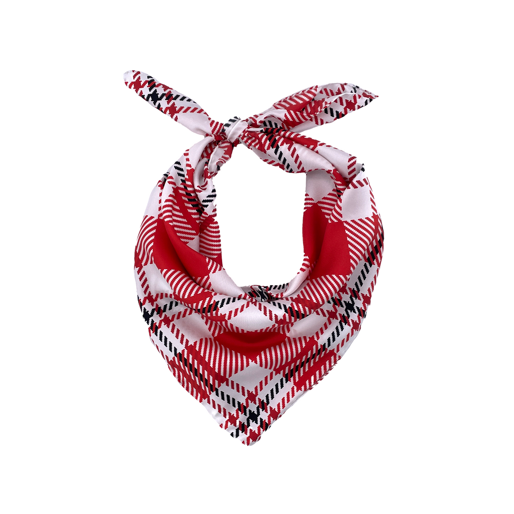 Boston University Handkerchief Scarf
