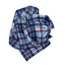 Load image into Gallery viewer, The Citadel Handkerchief Scarf