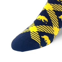 Load image into Gallery viewer, Cal Socks