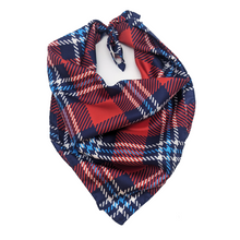 Load image into Gallery viewer, Dayton Handkerchief Scarf