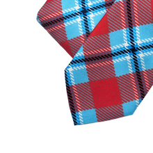 Load image into Gallery viewer, Delaware State Tie