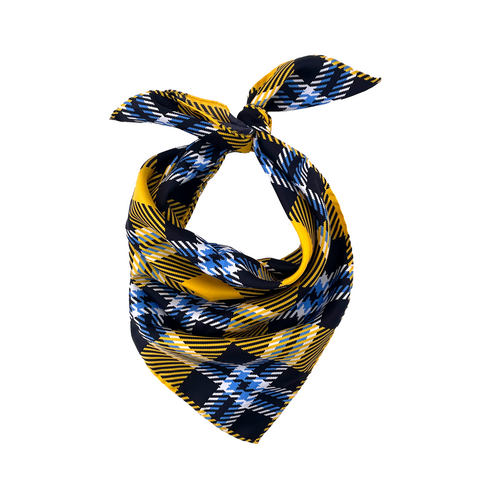 Framingham State Handkerchief Scarf