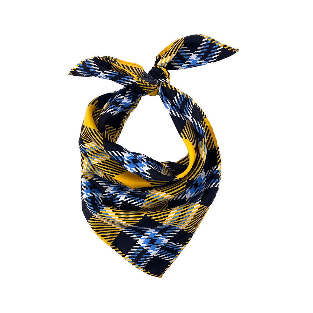 Framingham State Handkerchief Scarf