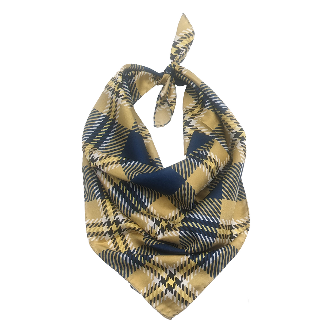 George Washington Handkerchief Scarf