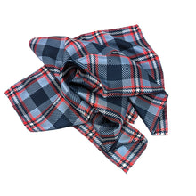 Load image into Gallery viewer, Howard Handkerchief Scarf