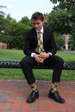 Load image into Gallery viewer, Central Florida Socks