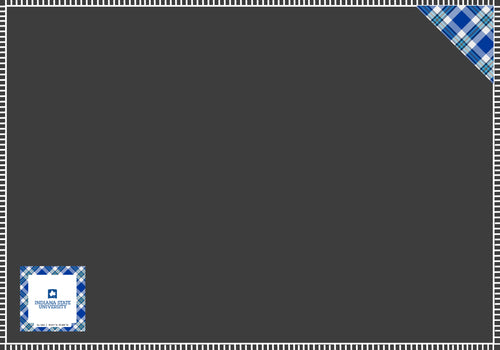 Indiana State Applique Blanket