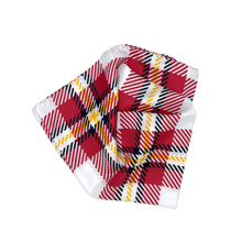 Load image into Gallery viewer, Louisville Handkerchief Scarf