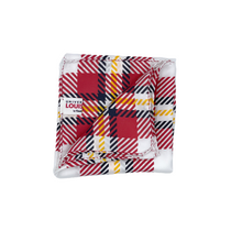 Load image into Gallery viewer, Louisville Handkerchief Scarf