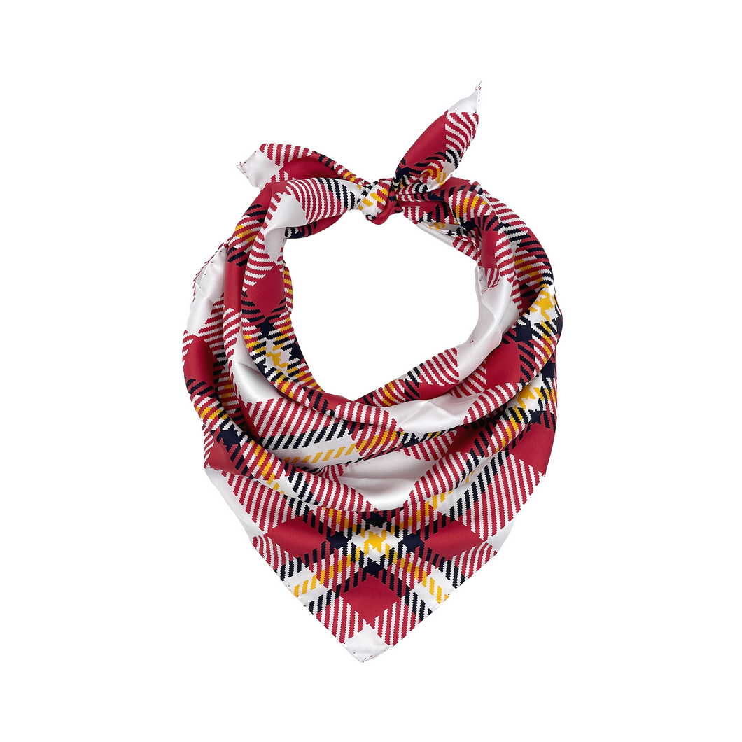 Louisville Handkerchief Scarf