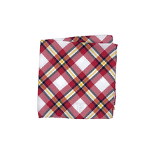 Load image into Gallery viewer, Louisville Pocket Square
