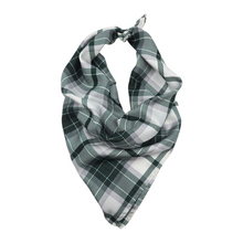 Load image into Gallery viewer, Michigan State Union Handkerchief Scarf