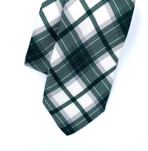 Michigan State Tie