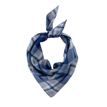Load image into Gallery viewer, Old Dominion Handkerchief Scarf