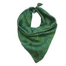 Load image into Gallery viewer, Oregon Flying Duck Handkerchief Scarf