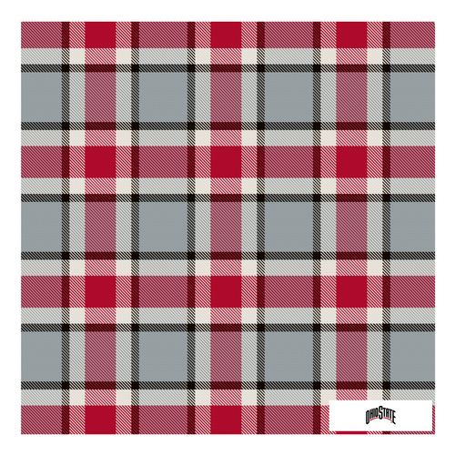 Ohio State Handkerchief Scarf