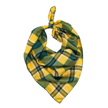 Load image into Gallery viewer, SUNY Brockport Handkerchief Scarf