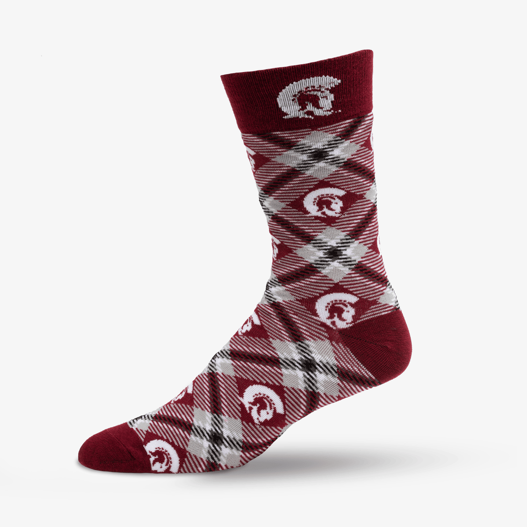 UA Little Rock Socks