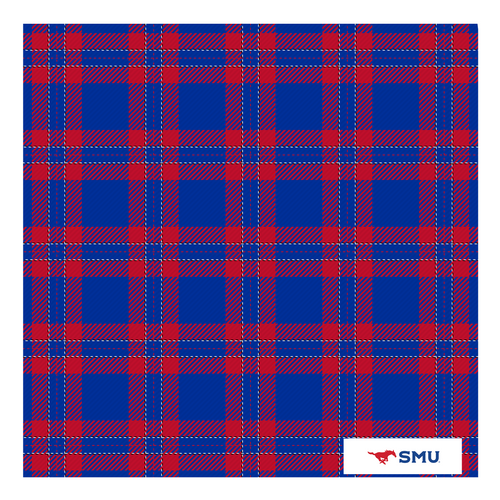 SMU Handkerchief Scarf