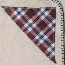 Load image into Gallery viewer, Texas A&amp;M Iconic Image Blanket