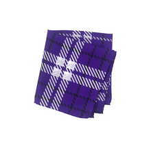 Load image into Gallery viewer, TCU Handkerchief Scarf