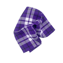 Load image into Gallery viewer, TCU Handkerchief Scarf