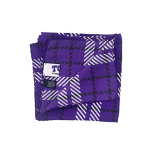 Load image into Gallery viewer, TCU Handkerchief Scarf