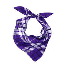 Load image into Gallery viewer, TCU Handkerchief Scarf