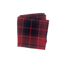 Load image into Gallery viewer, Georgia Handkerchief Scarf