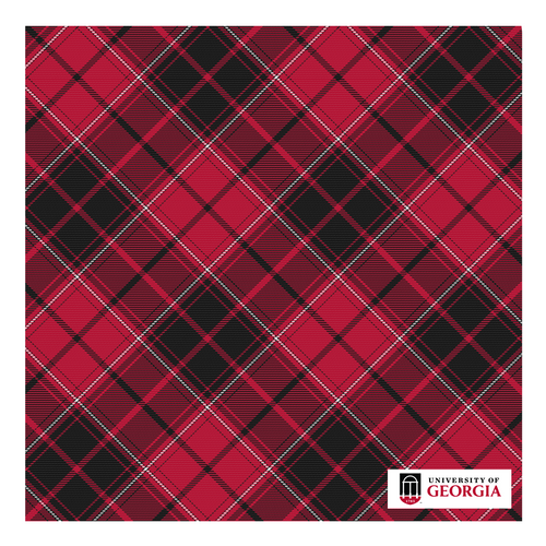 Georgia Pocket Square