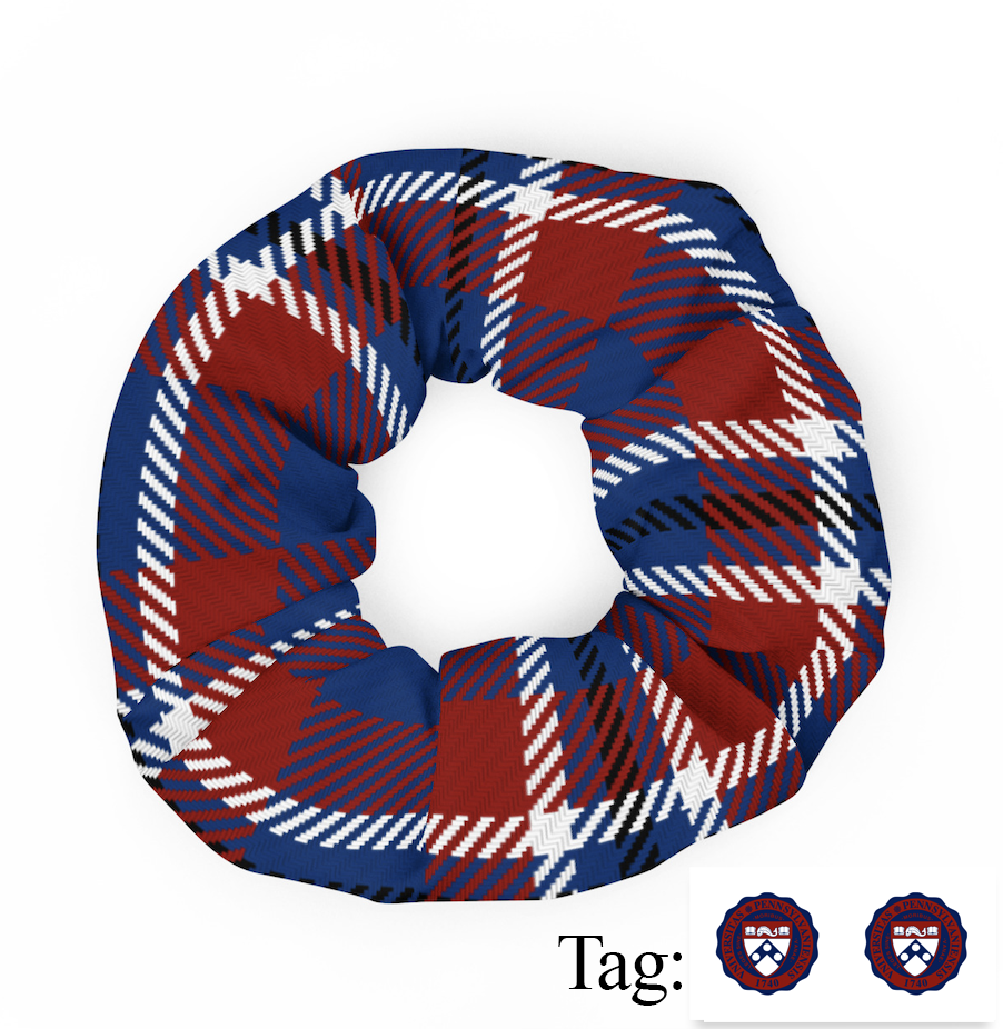 Penn Scrunchie