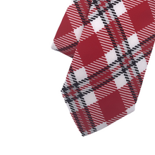 Load image into Gallery viewer, Wisconsin Tie