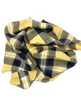 Load image into Gallery viewer, Wake Forest Handkerchief Scarf