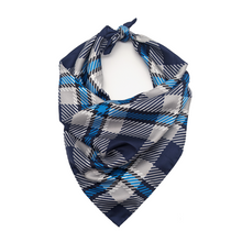 Load image into Gallery viewer, Xavier Handkerchief Scarf