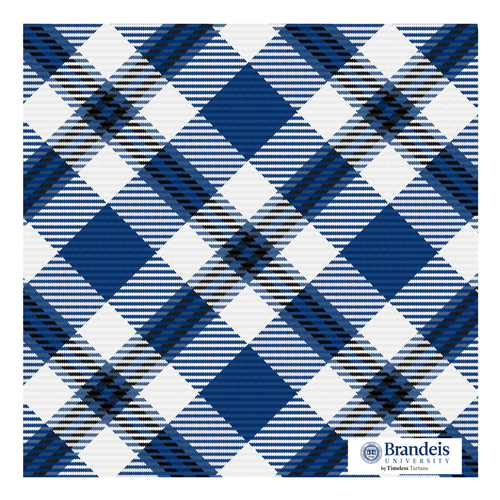 Brandeis Pocket Square