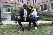 Load image into Gallery viewer, Drexel Fashion Scarf