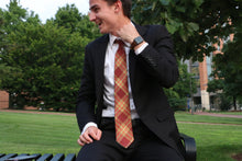 Load image into Gallery viewer, Texas State Tie