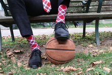 Load image into Gallery viewer, Arkansas Socks