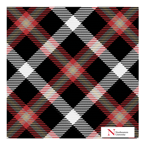 Northeastern Pocket Square
