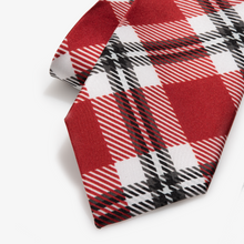 Load image into Gallery viewer, Arkansas Tie