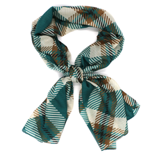 Load image into Gallery viewer, Coastal Carolina Fashion Scarf