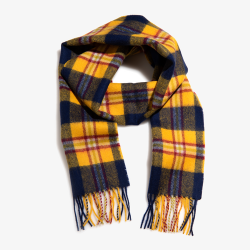 Drexel Cold Weather Scarf