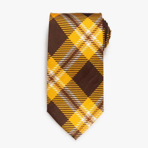 Western Michigan Tie